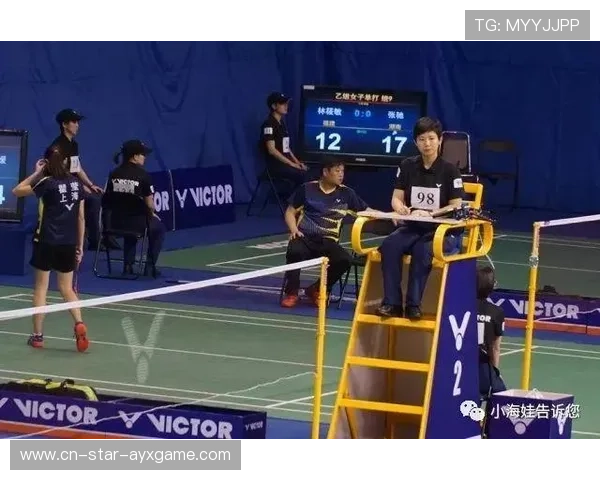 羽毛球裁判判罚一致性提升措施研究 羽毛球裁判判罚一致性提升措施研究