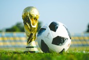 世界举重青年联赛赛后科研合作成果发表，2021年世界举重比赛